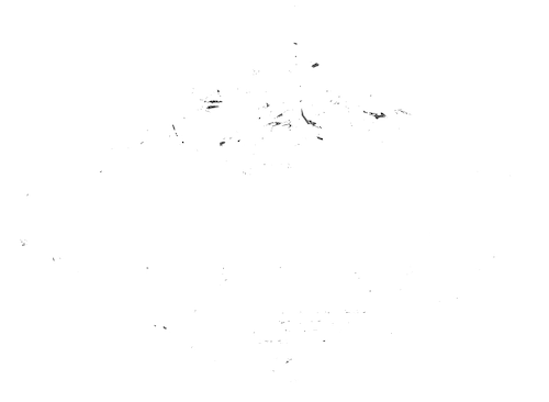 2311 Community Fitness Logo